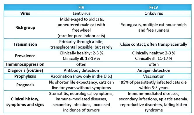 Feline LeukemiaFiv Test 2.png